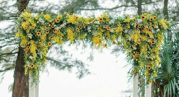 The Wedding Website of Brandy Sturdavant and Eric Ennis