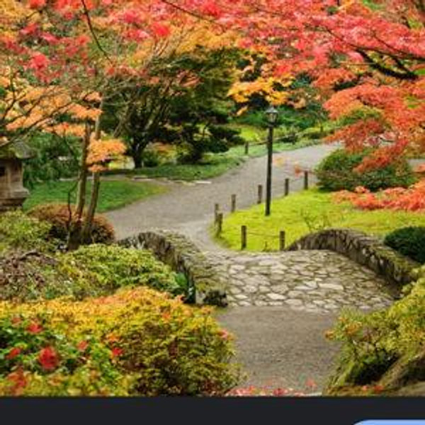 Seattle botanical garden tour