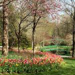 Gibbs Gardens
