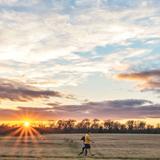 Shelby Farms Park