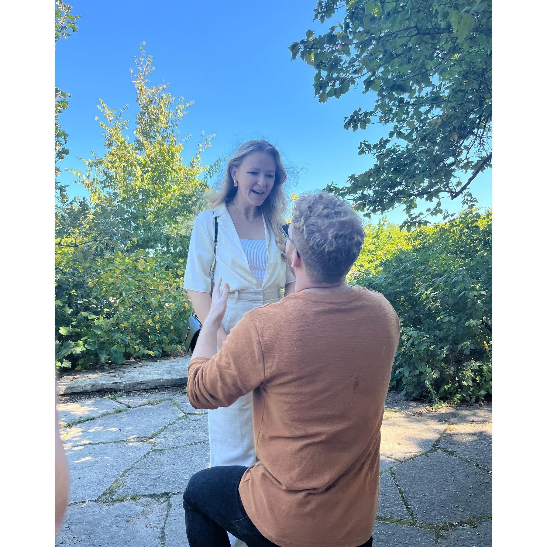 The engagement!