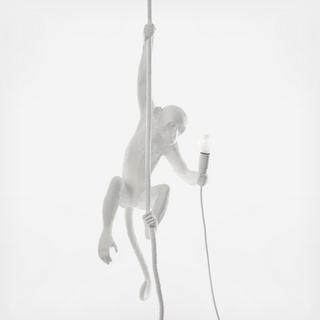 Monkey Ceiling Resin Lamp