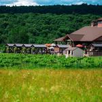 Mountain View Vineyard, Winery, Brewery & Distillery