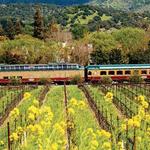 Napa Valley Wine Train