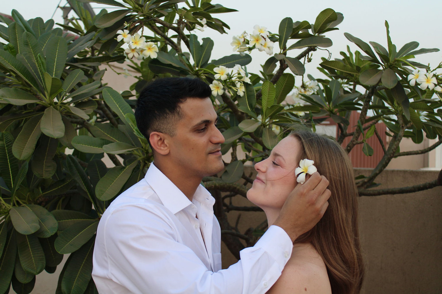 The Wedding Website of Ariel Gray and Nimesh Shetty
