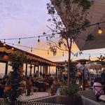 Harriet's Rooftop