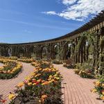 Ashton Gardens at Thanksgiving Point