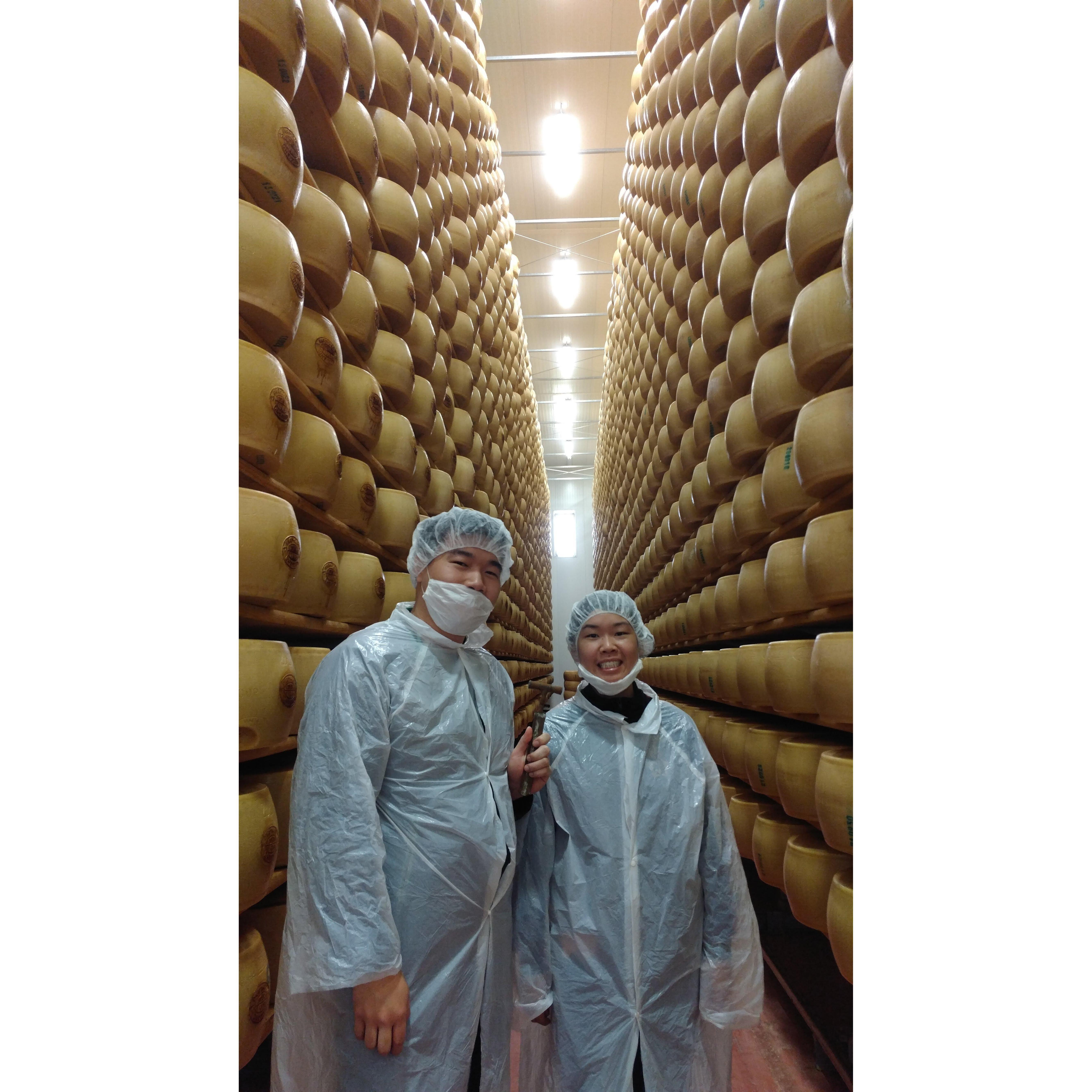 Wall-to-wall Parmesan Reggiano wheels. Visiting cheese factories in Modena, Italy.