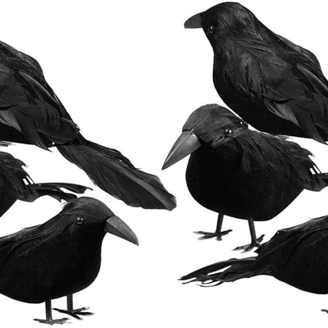 Sizonjoy 6 Pack Halloween Black Feathered Crows, Halloween Decorations Realistic Bird Halloween Ravens Decor Props
