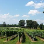 Nottely River Valley Vineyards, LLC