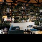 Mas Amor Cantina