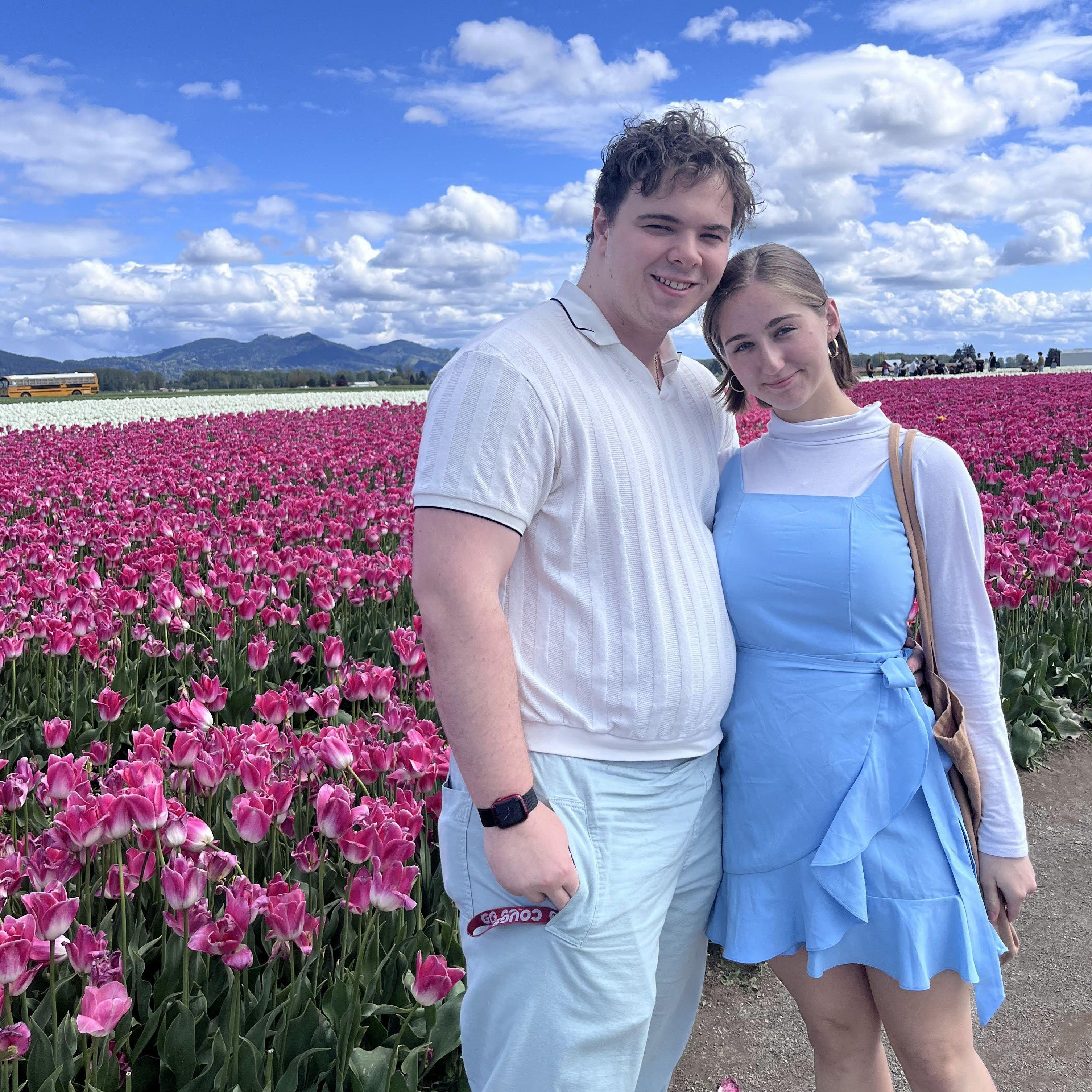 Roozengaarde Tulip Farm, 2024.