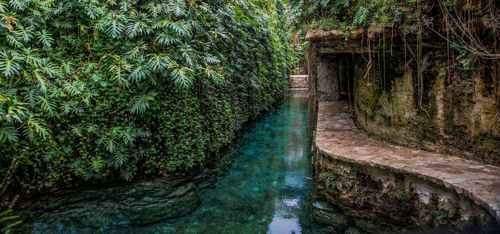 The Wedding Website of Sora Block and Danny Trevino