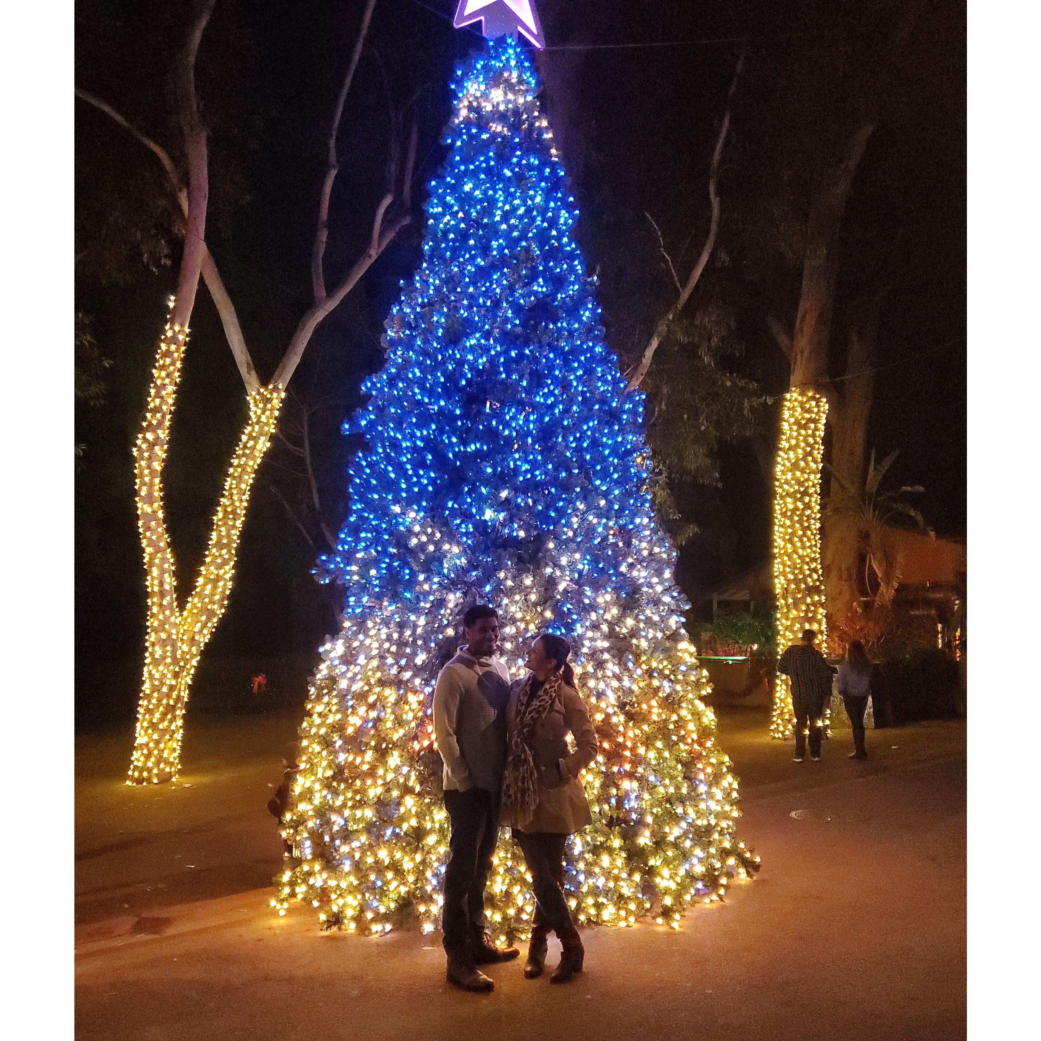 LA Zoo Lights, December 2019