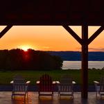 Bright Leaf Vineyard