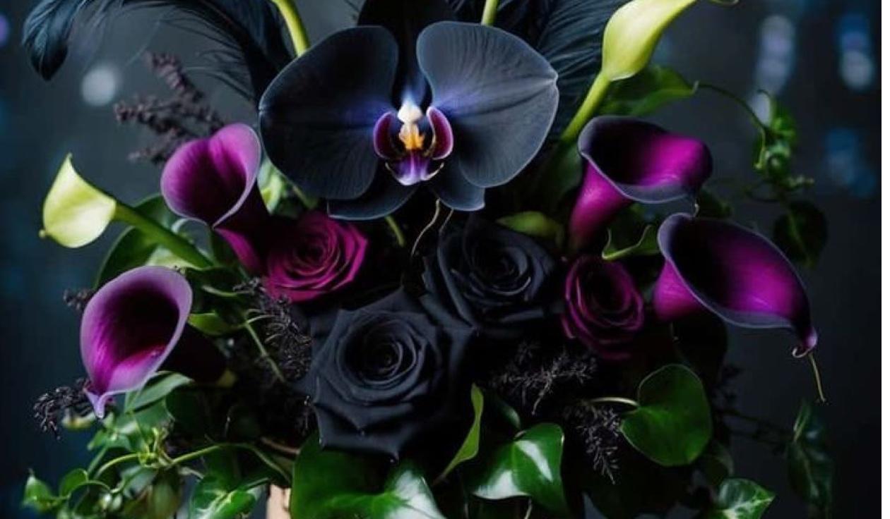 The Wedding Website of Sabrina Lattimore and Joshua Stokes