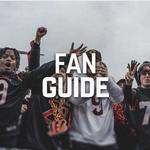 The Cincinnati Bengals