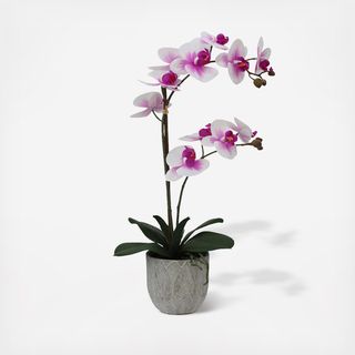 Artificial Orchid in Embossed Leaf Pot