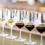 Sonoma Valley wine tasting