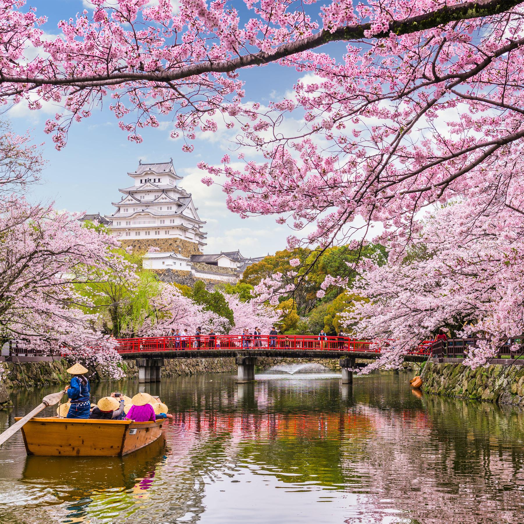 Honeymoon to Japan