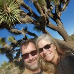 Torrey Pines State Natural Reserve