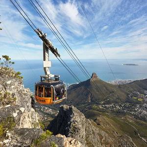 Table Mountain, Penguins, & Cape Point Tour