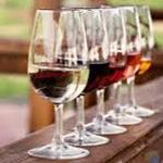 Wine Tasting