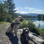 Swan River Nature Trail a.k.a “Washout Trail”
