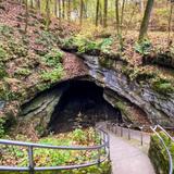 Mammoth Cave National Park