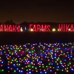 Tanaka Farms Hikari - Festival of Lights
