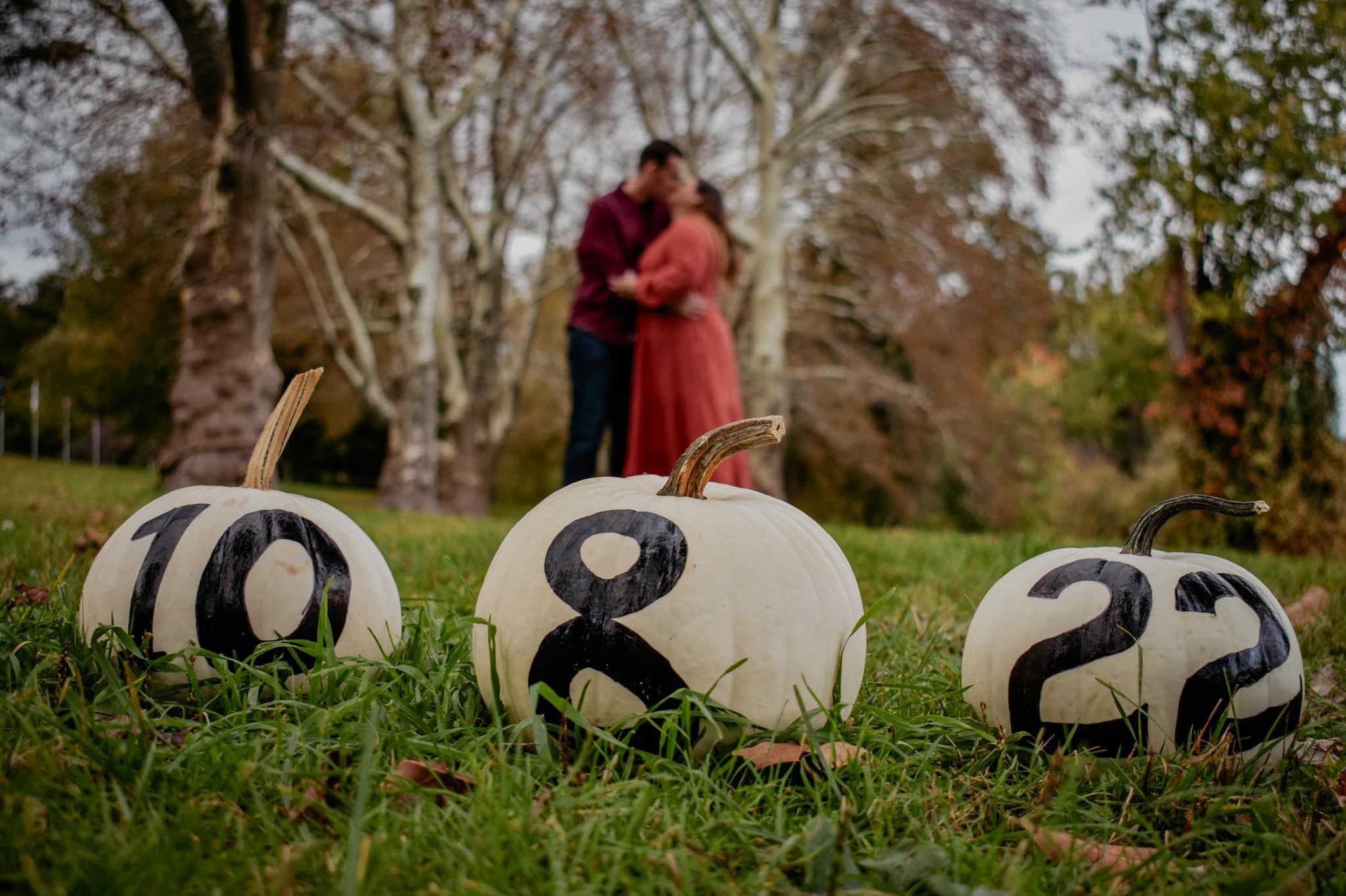 The Wedding Website of Sarah Heidler and Braeden Diehl