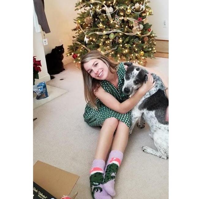 Christmas 2019 with Nelson (cat), Otis (dog) and T-rex socks.