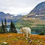 Glacier National Park
