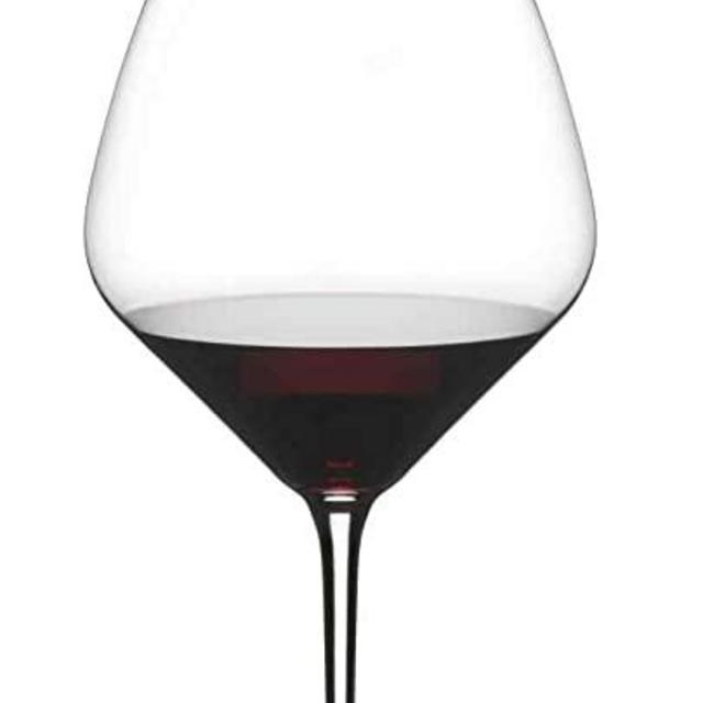 Riedel SST (SEE, SMELL, TASTE) Pinot Noir Wine Glass, Set of 2