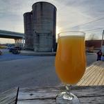 WISEACRE Brewing Company