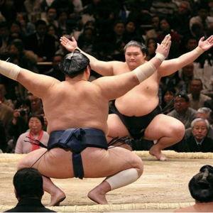2 sumo wrestling tickets