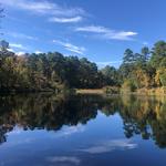 Tyler State Park