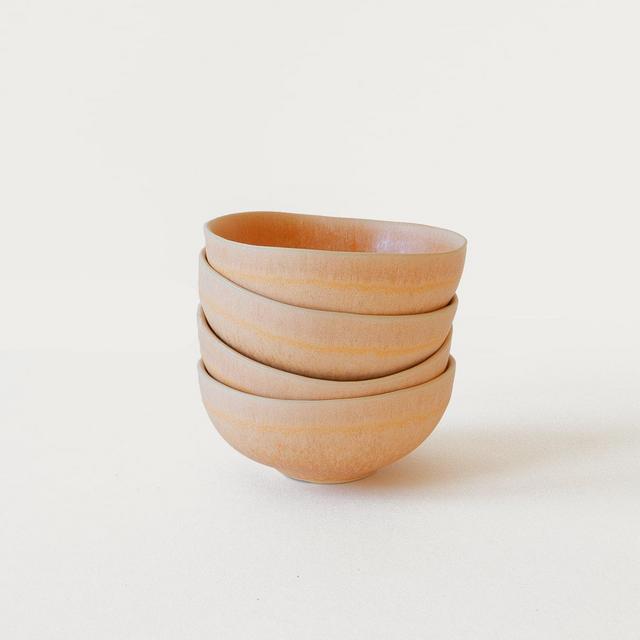 DipDip Bowl Set - Guava