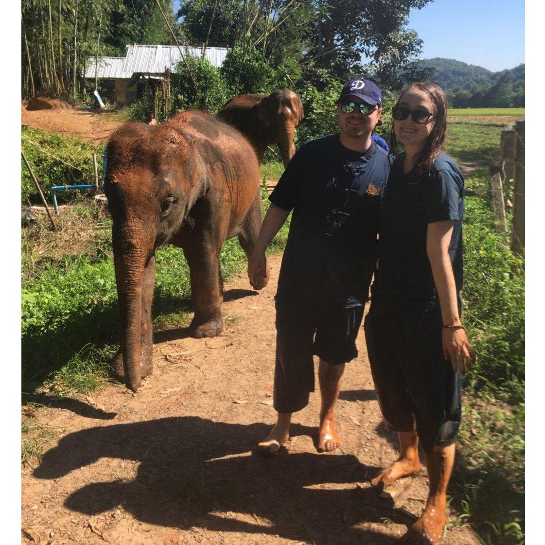 We took a bath with baby elephants (and some big ones)! This was in Chiang Mai, Thailand in 2018