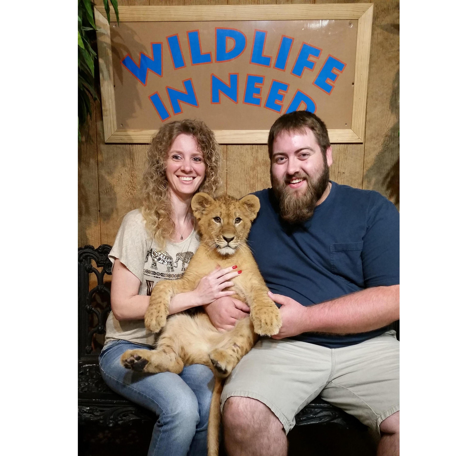 Playing with lion and tiger cubs was amazing!