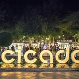 Cicada Market