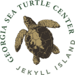 Georgia Sea Turtle Center