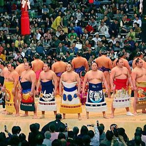 Sumo Wrestling Match Tickets