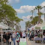 Santa Barbara Tuesday's Farmers Market