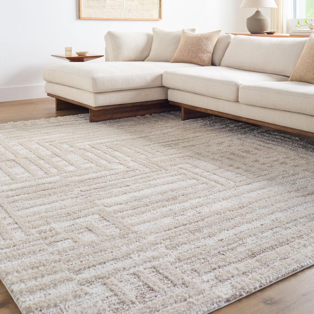 Rug for our living room!