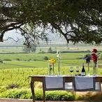 Winery Casas del Bosque