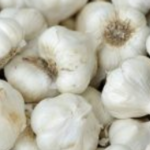 Garlic World