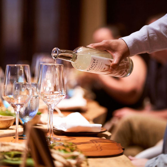 Agave tequila tasting on Honeymoon