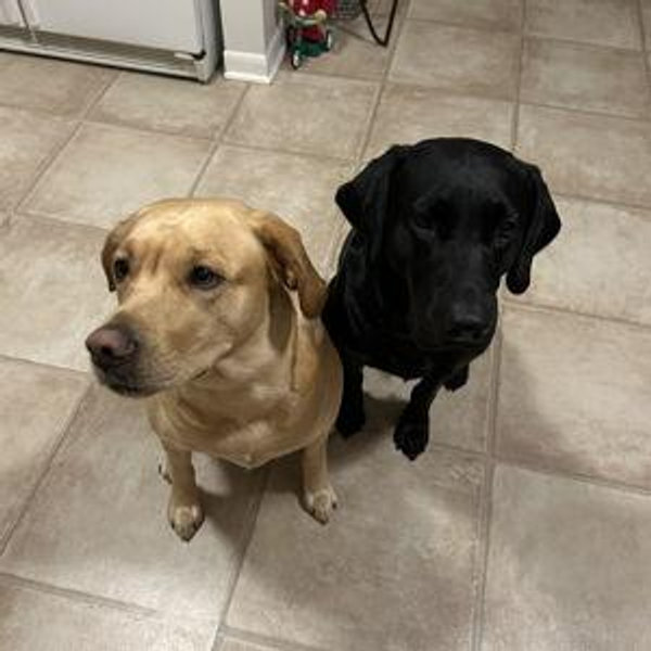 BoBo and Millie