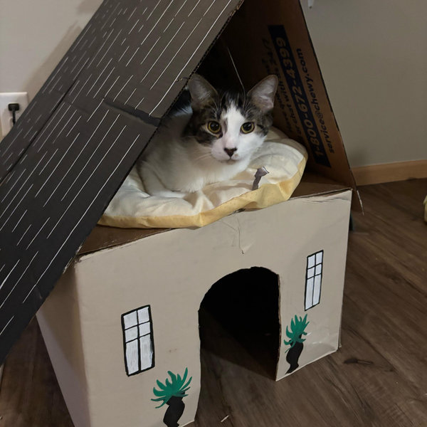 Home Deposit